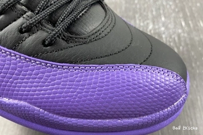 Jordan 739 Retro CT8013-057 EasyMatch Air 12 1117